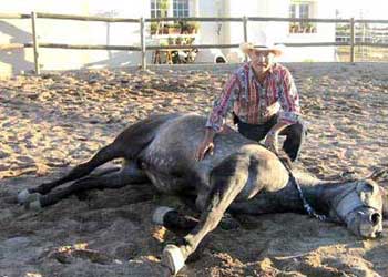 Manejo Natural del Cabalo, MNC. Chico Ramirez, caballo tumbado y tranquilo