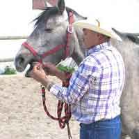 Manejo Natural del Cabalo, MNC. Chico Ramirez, cogiendo la lengua a un caballo 