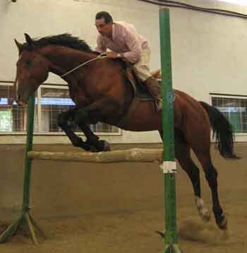 Manejo Natural del Cabalo, MNC. Chico Ramirez, saltando a caballo sin riendas 