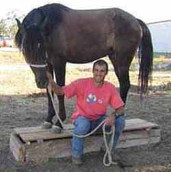 Manejo Natural del Caballo, MNC. Chico Ramirez, caballo encima de un podio de madera