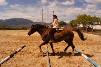 Educacion y comunicacion con el caballo, Chloe B. Rola pasando barras montando a pelo