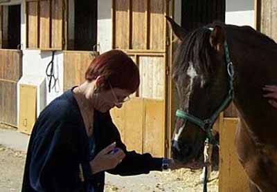 Homeopatia aplicada al caballo y a pequeños animales, Marie-Noëlle Issautier